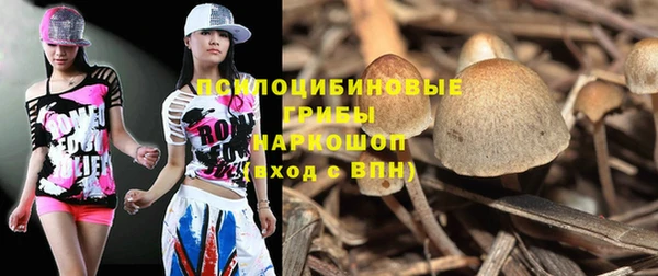ПСИЛОЦИБИНОВЫЕ ГРИБЫ Алексин